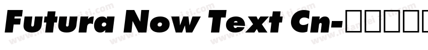Futura Now Text Cn字体转换